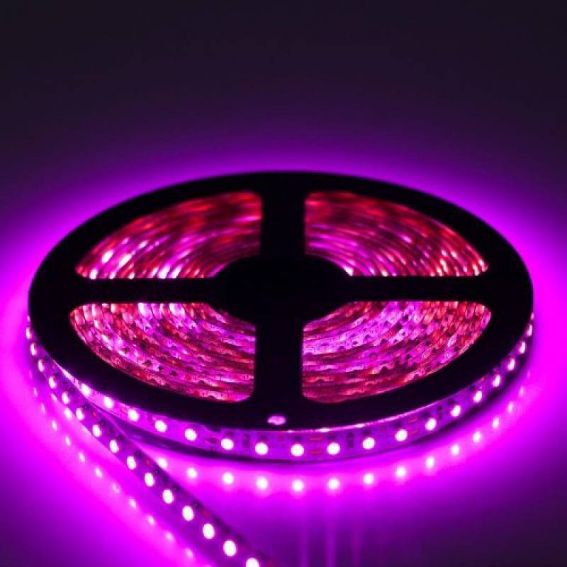 CINTA DE LED 5050 MORADO 60L 5M PARA EXTERIOR